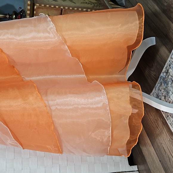 Dress Size 14- Formal Sheer Apricot Color  Embellished Dress - Picture 3 of 8